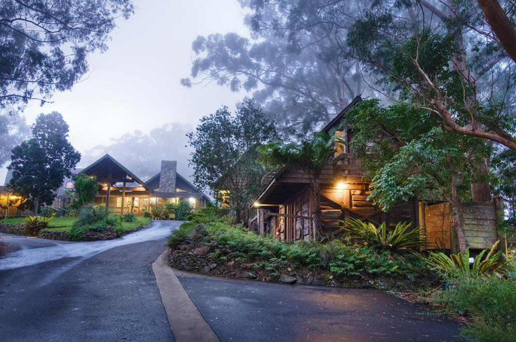 Binna Burra Mountain Lodge Gold Coast Extérieur photo