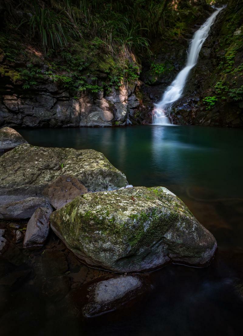 Binna Burra Mountain Lodge Gold Coast Extérieur photo