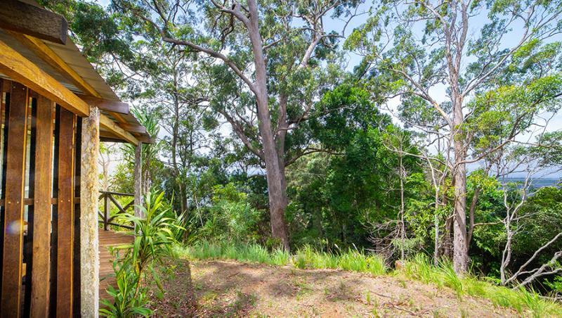 Binna Burra Mountain Lodge Gold Coast Extérieur photo